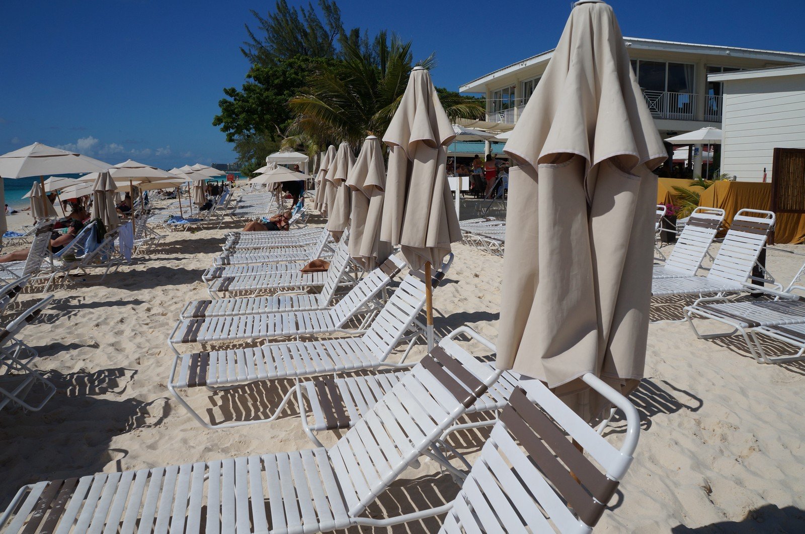 Excursion Focus: Royal Palms Beach Club in Grand Cayman | Royal