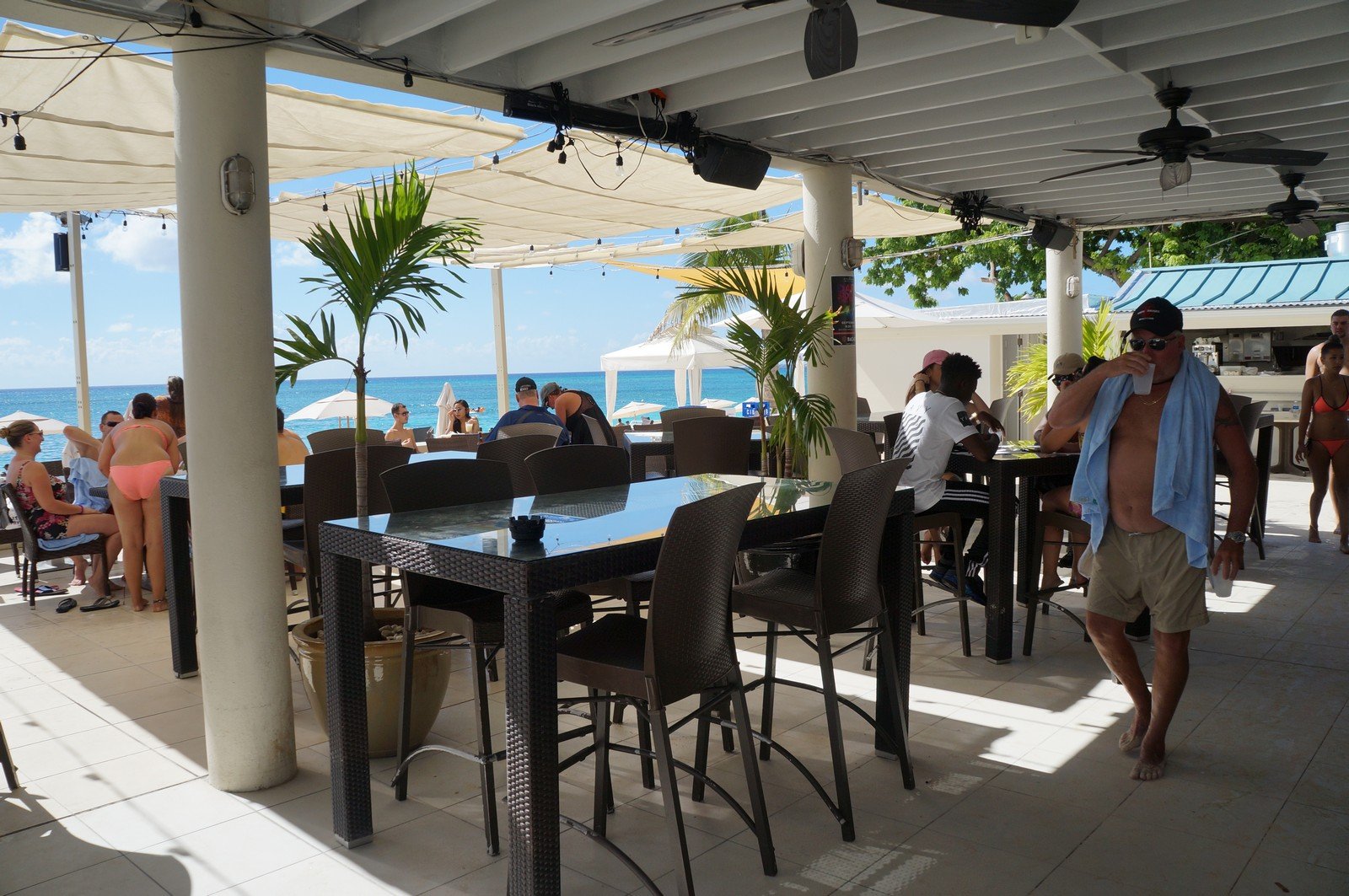 Excursion Focus: Royal Palms Beach Club in Grand Cayman | Royal