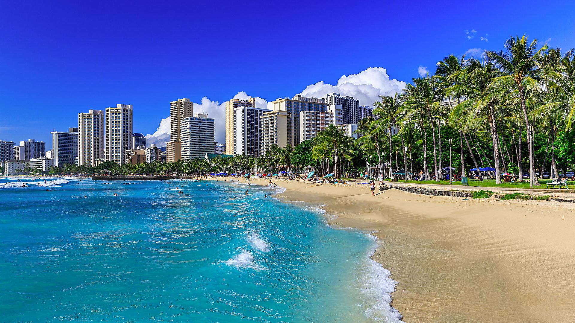 cruises to hawaii november 2023