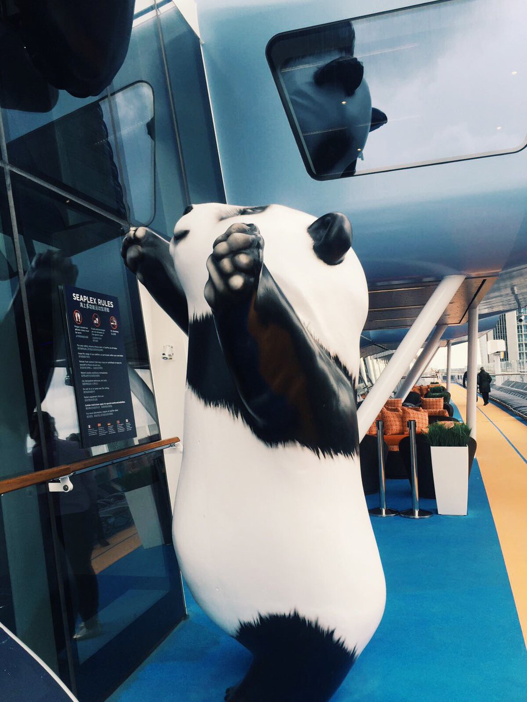 panda cruise