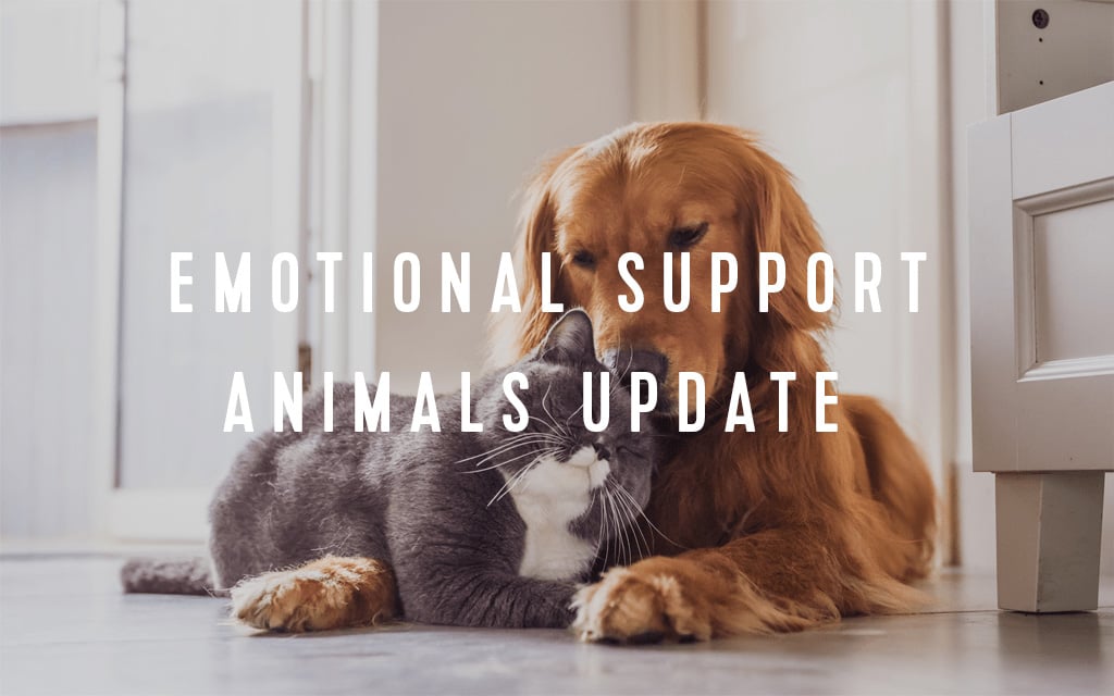 emotional support animals on cruise ships