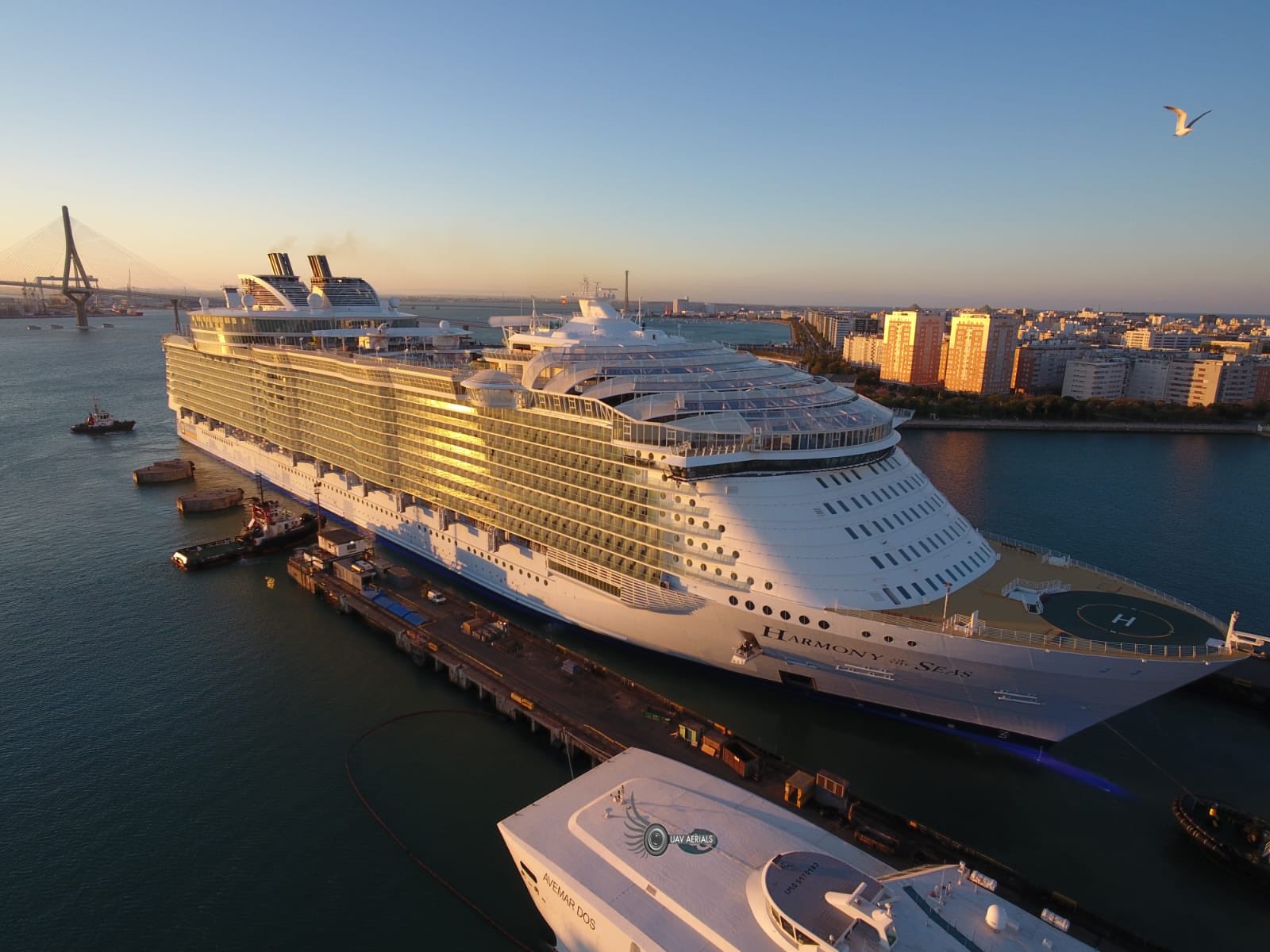 Royal Caribbean's Harmony of the Seas completes dry dock Royal