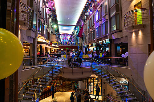 Navigator of the Seas, Cruise Ships