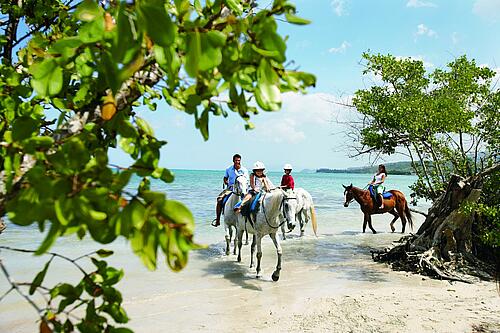 What to do if Royal Caribbean's shore excursions are sold out | Royal