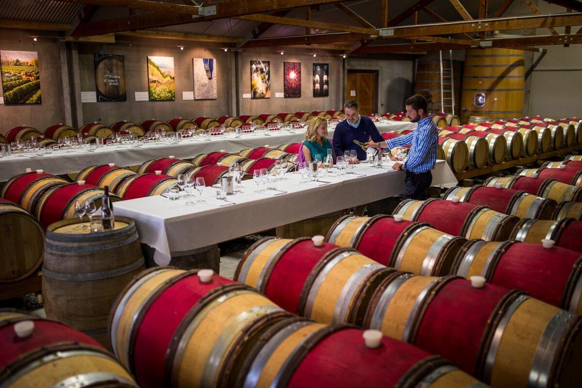 Royal Caribbean now offering custom shore excursions | Royal Caribbean Blog