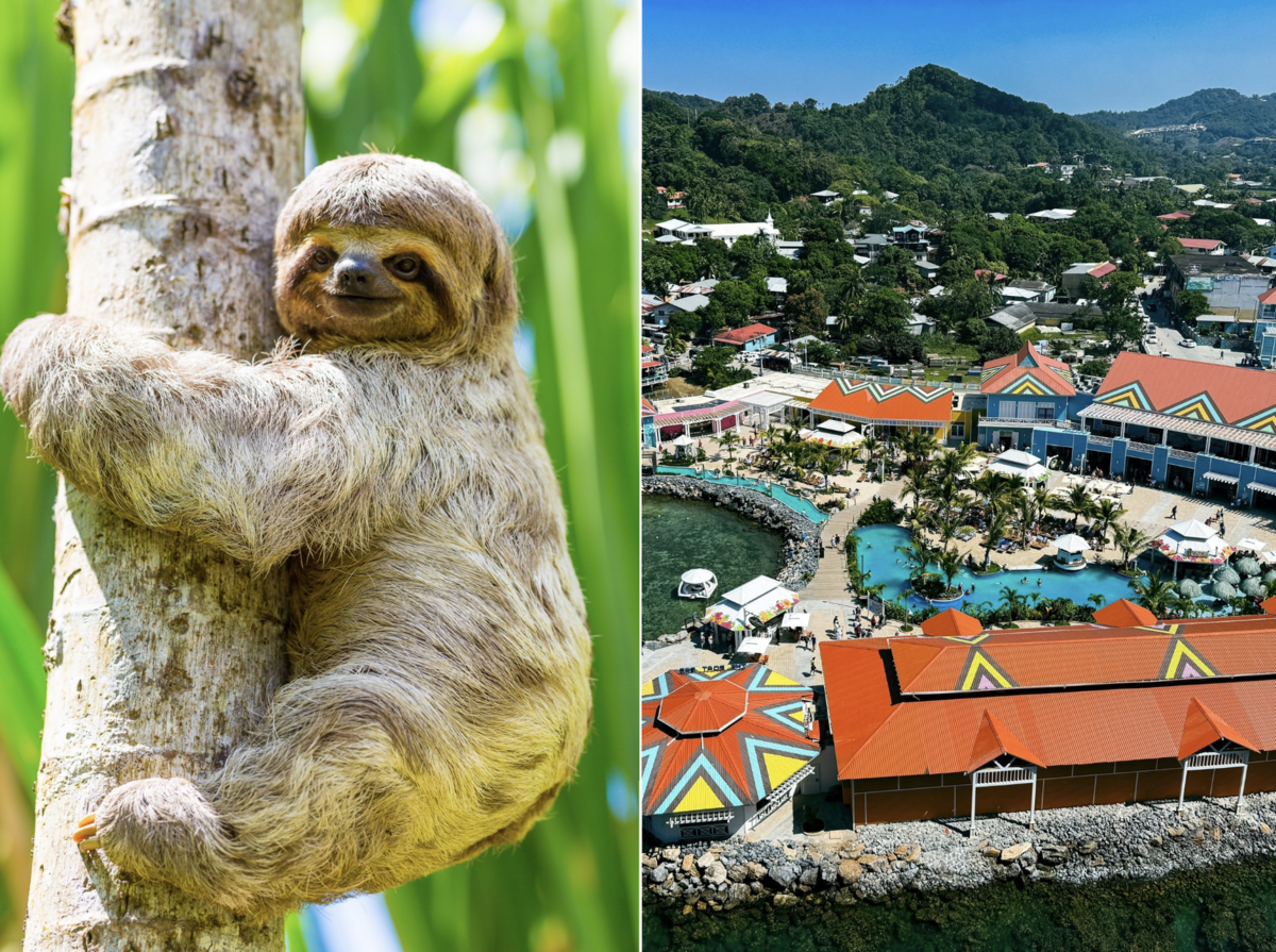 Well-liked Vacation spot Ban Surprises Friends