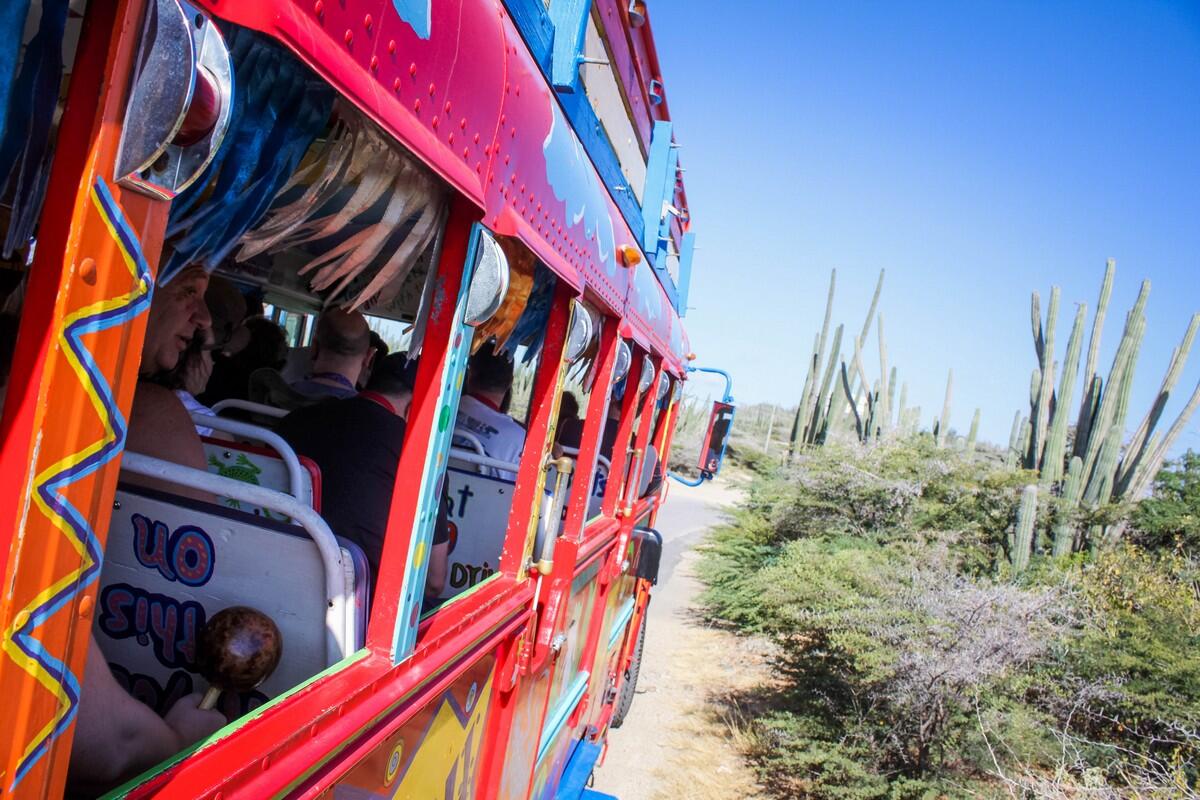 Excursion Focus Kukoo Kunuku Palm Beach Tour in Aruba Royal