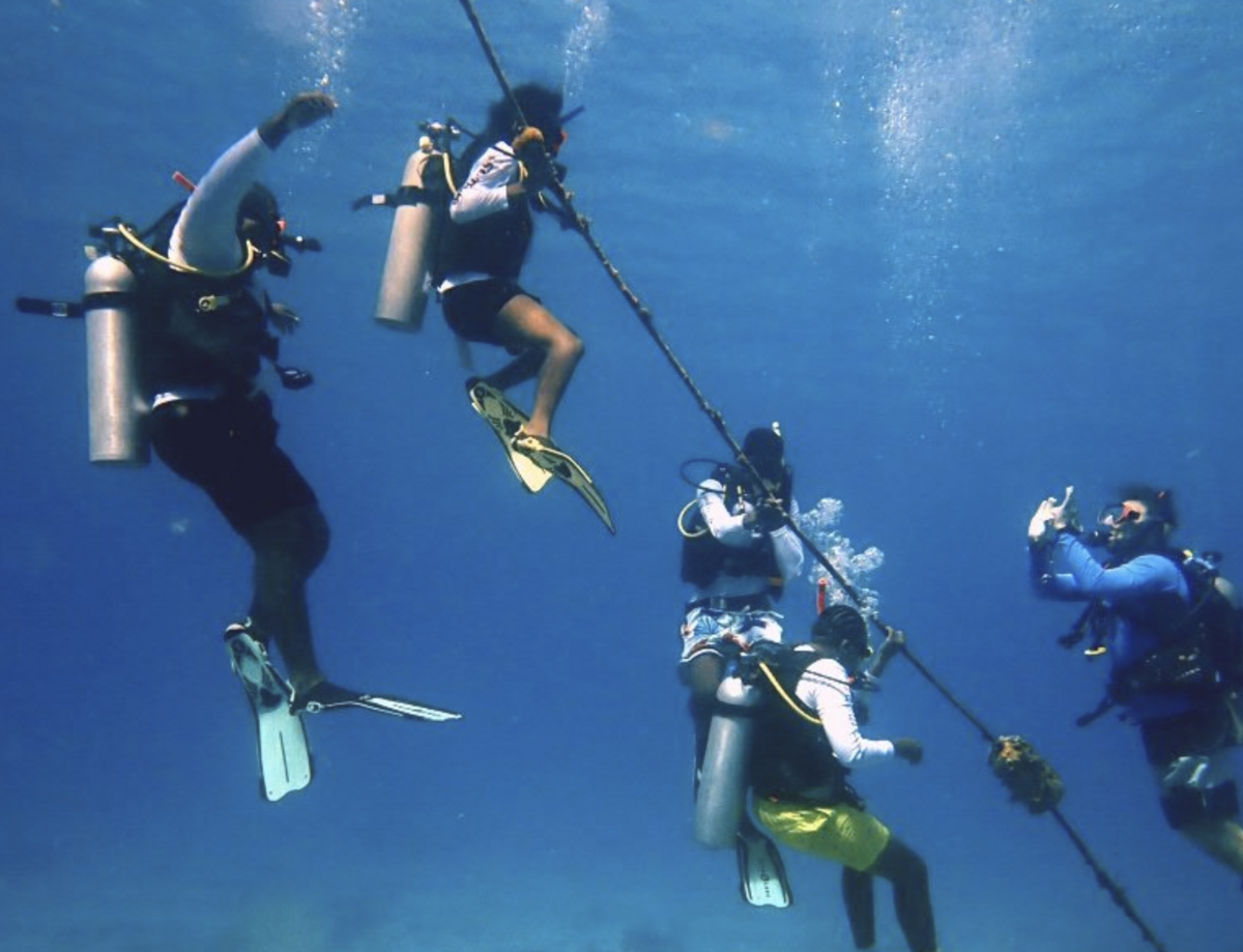 Excursion Focus Discover Scuba Diving in St. Thomas Royal Caribbean Blog