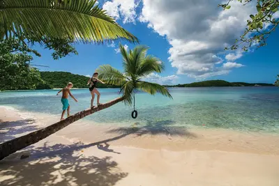 Trunk Bay in St John