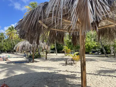 Palapa umbrellas honeymoon beach