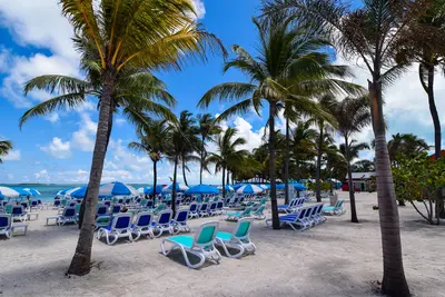 Chill island chairs