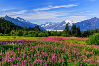 Beautiful day in Juneau