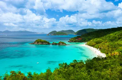 Trunk Bay