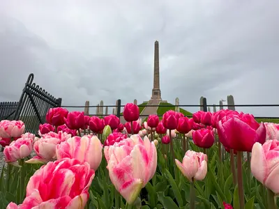 Viking monument