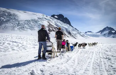 Alaska sled dog tour