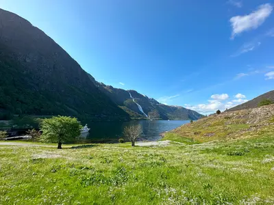 Lunch near Åkrafjord