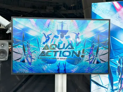 Aqua Action show