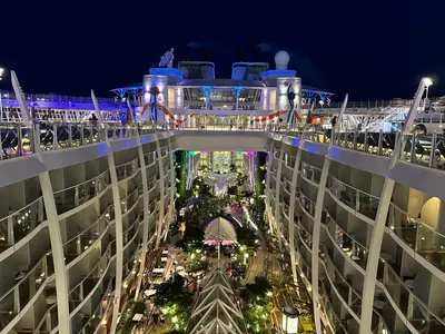 View of Central Park at night on Allure of the Seas