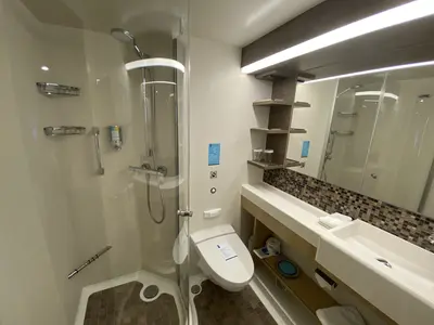 Odyssey of the Seas interior cabin bathroom