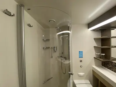Odyssey of the Seas interior cabin shower