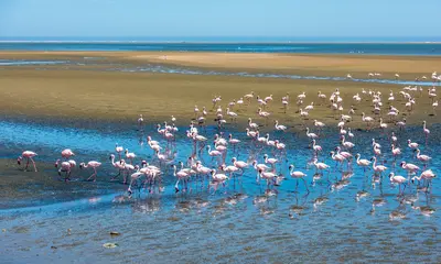 walvis-bay