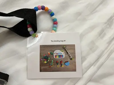 Icon Toy Lending Bag Icon Toy Lending Bag