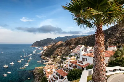  A hillside resort on Catalina Island