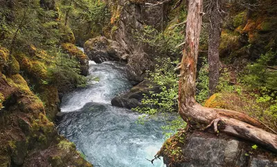 Ketchikan excursion