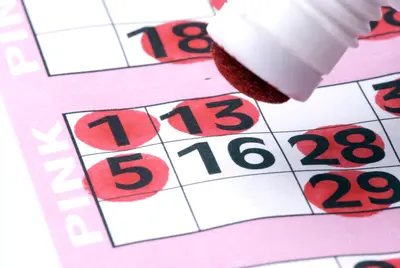 Bingo Bingo