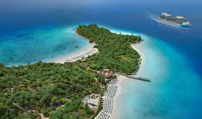 Lelepa aerial