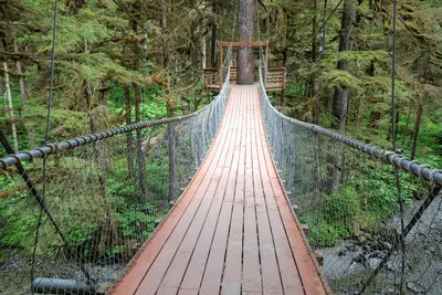 Bridge in Alaska