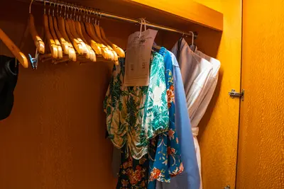 Clothes dry cleaning