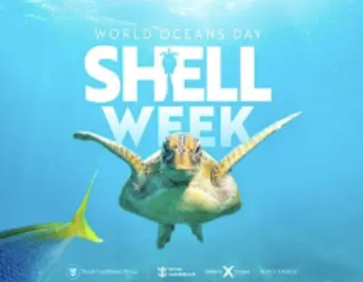 Shell-Week-Contestant-Preview