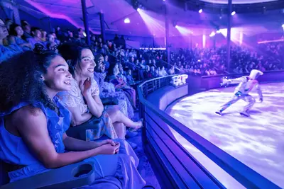Watching the ice show
