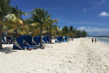 beach cococay caribbean royal inexpensive excursions offering shore starting south bungalows loungers royalcaribbeanblog