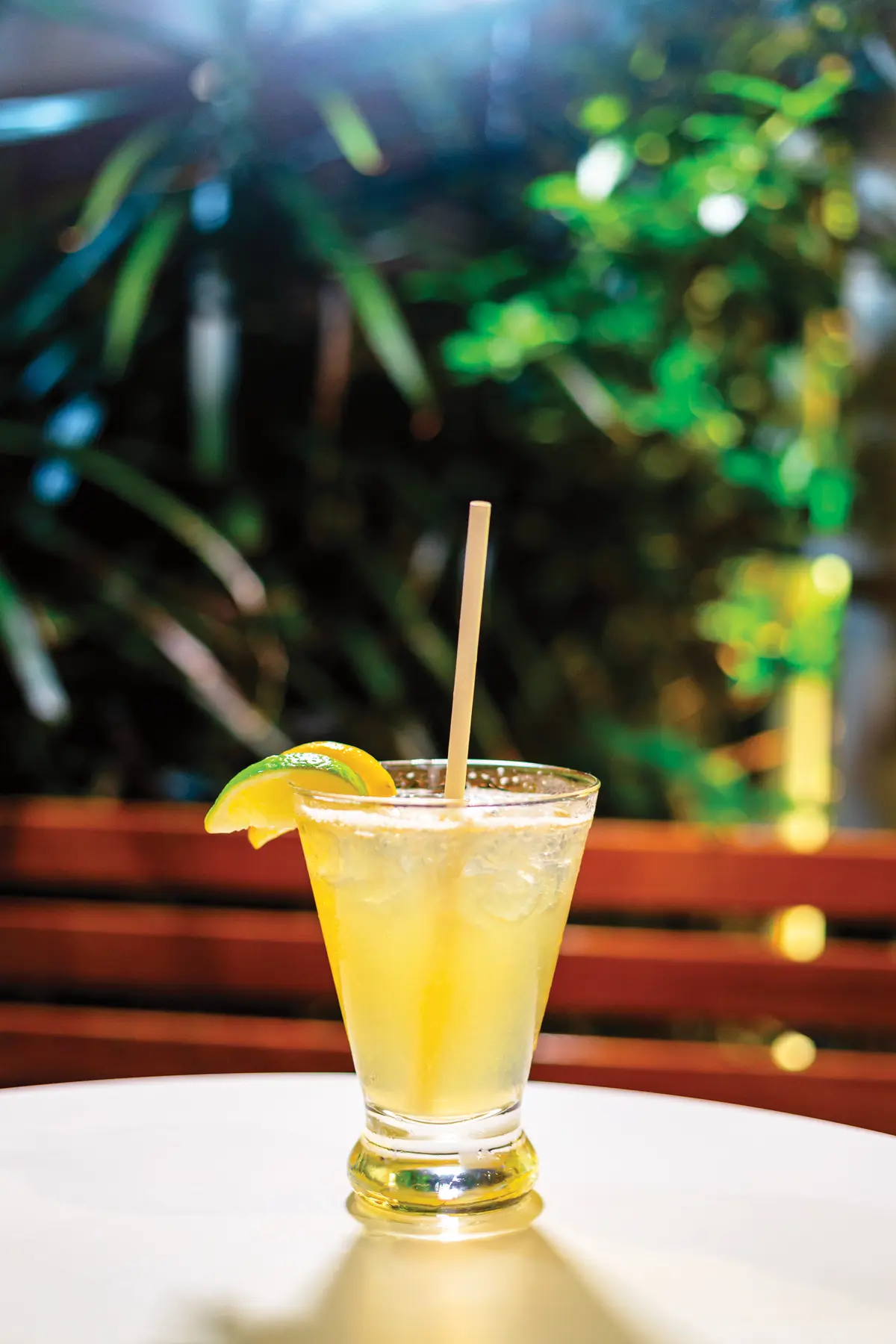 Drink at the Trellis Bar