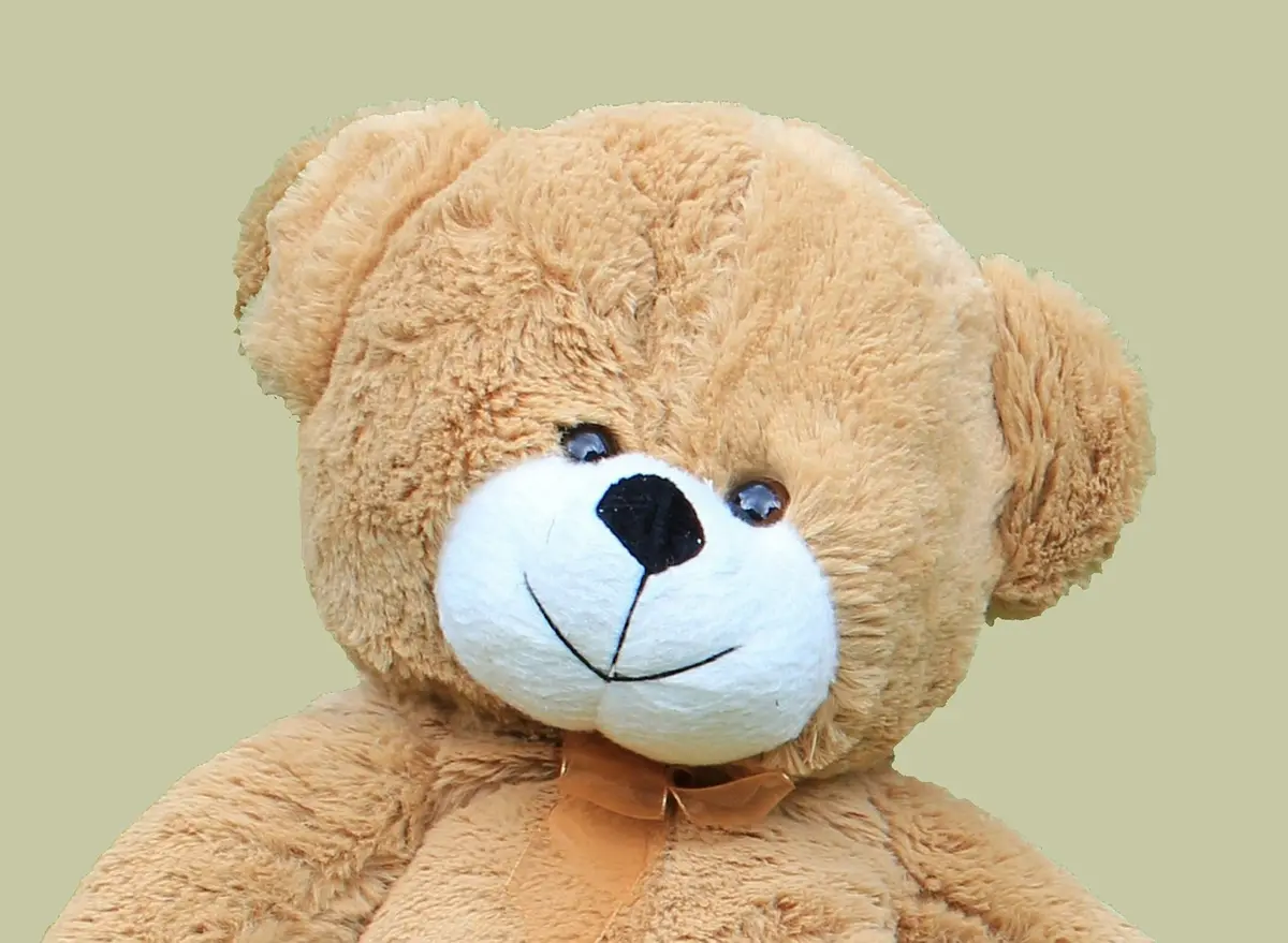 Teddy Bear 