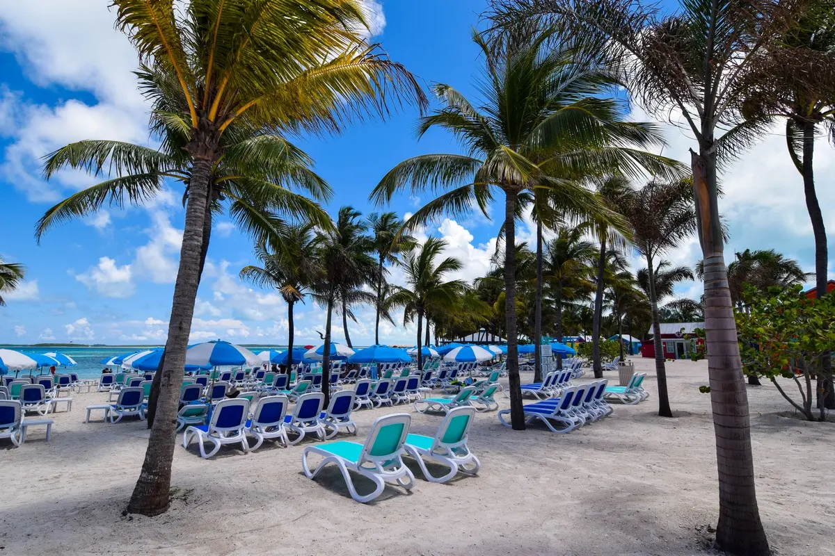 Chill island chairs
