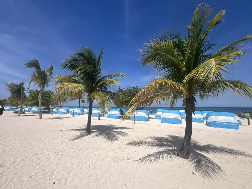 Beach chairs in Labadee