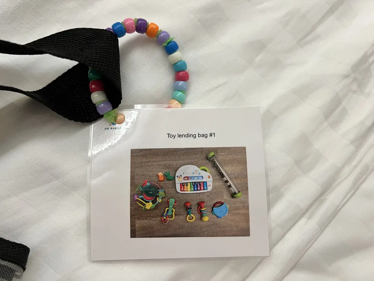 Icon Toy Lending Bag Icon Toy Lending Bag