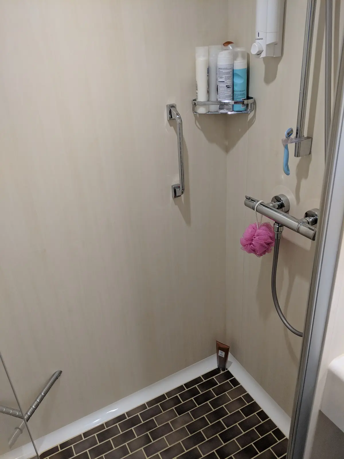 Shower in Studio cabin