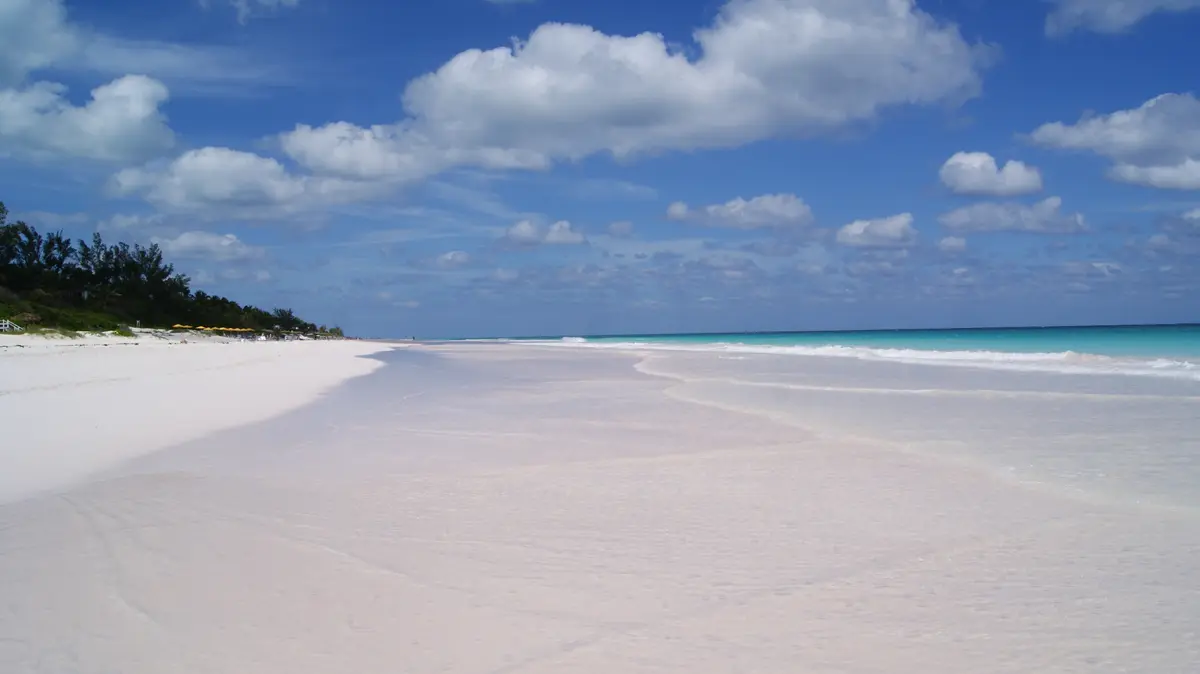 pink sand beach in Harbour Island, Bahamas