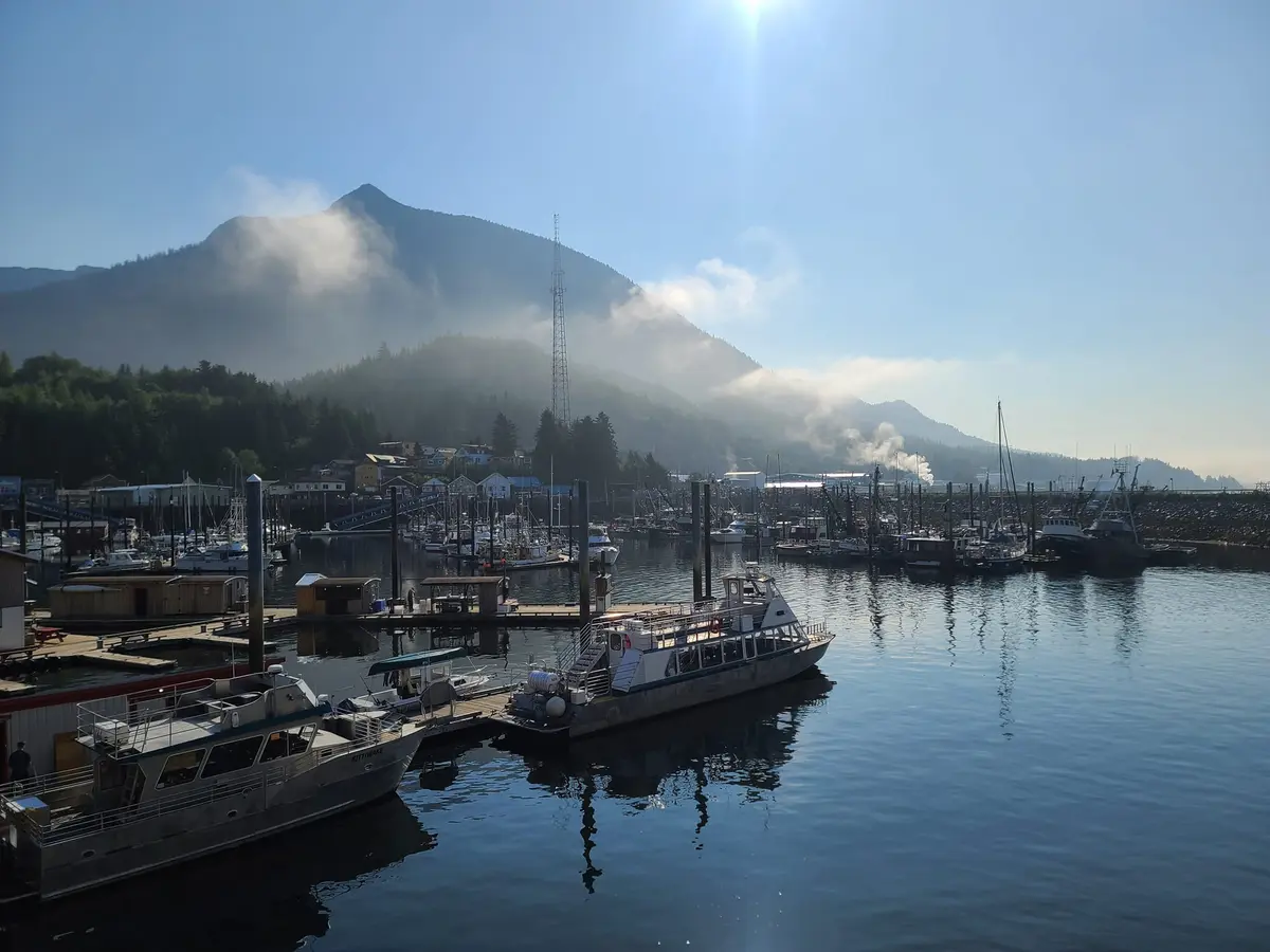 Misty morning
