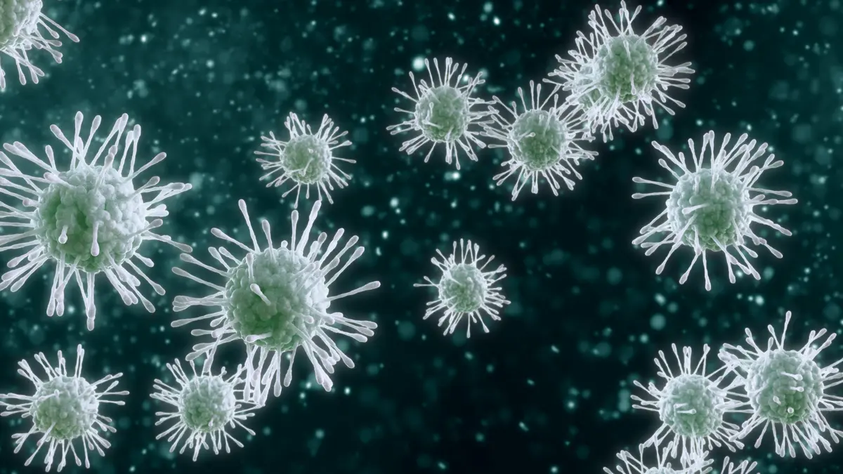 Virus Virus