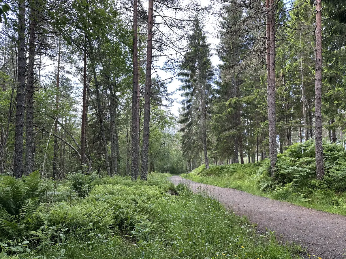 Hiking trail