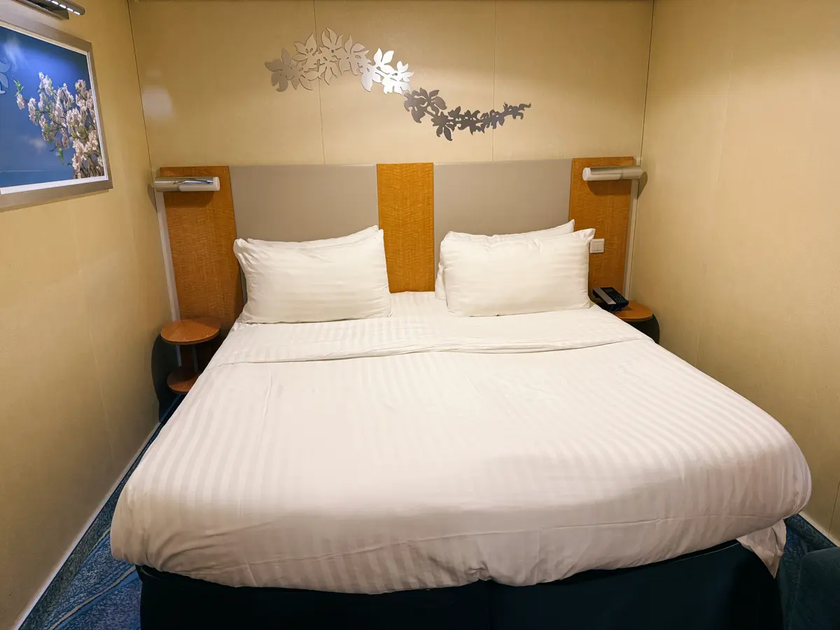 Oasis-Inside-Cabin-1