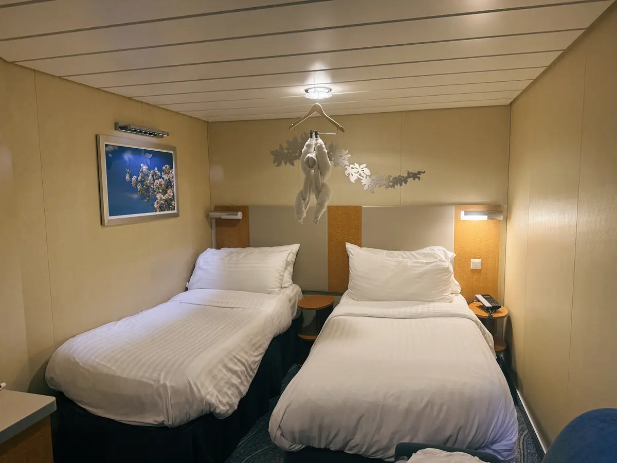 Oasis-Inside-Cabin-2-Towel-Animal Oasis-Inside-Cabin-2-Towel-Animal
