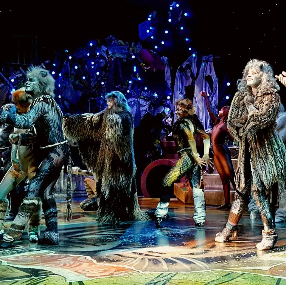 Cats musical