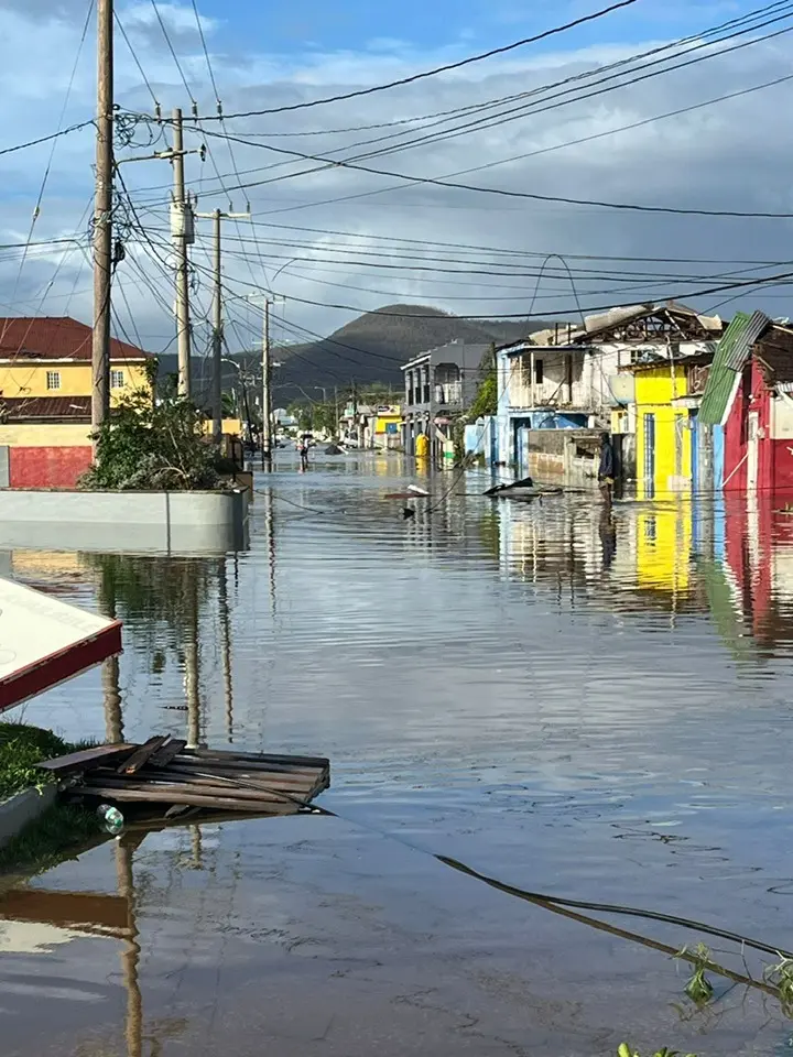 Photo by Michael Wattkis