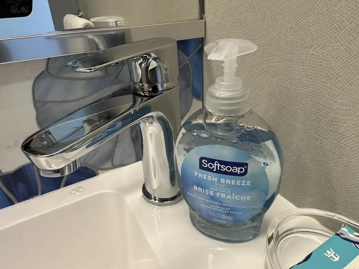 Liquid hand soap